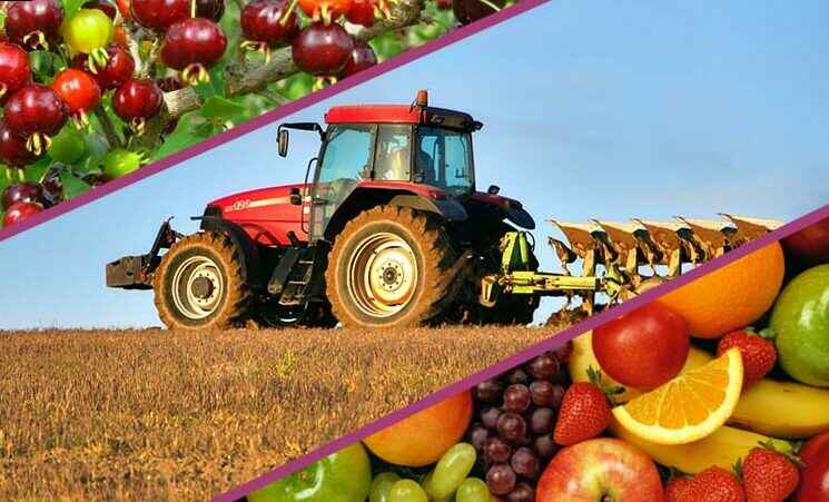 depósitos aduaneros ERP agroalimentario 1